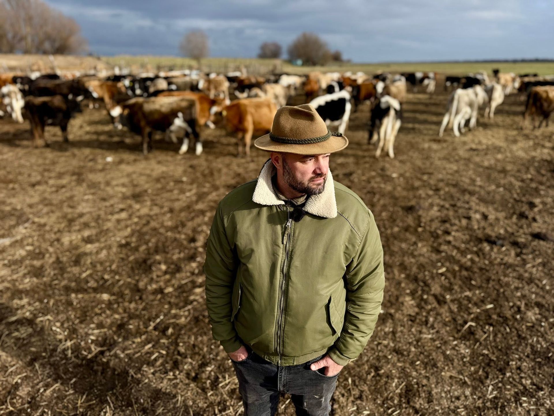 Dr. Ștefan Răileanu cu pălărie și geacă verde, pe o pășune din Delta Dunării, cu o cireadă de vaci în spate